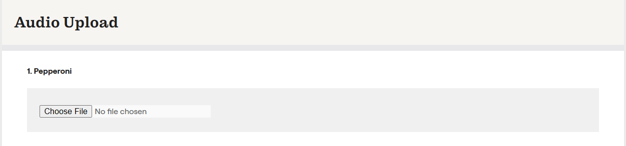 audio upload screenshot.png